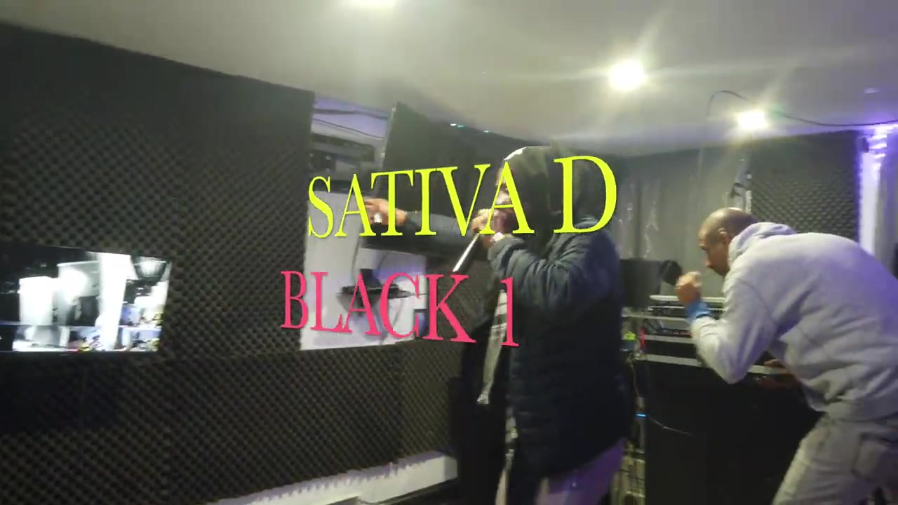 Sativa D Black 1 * Roof
