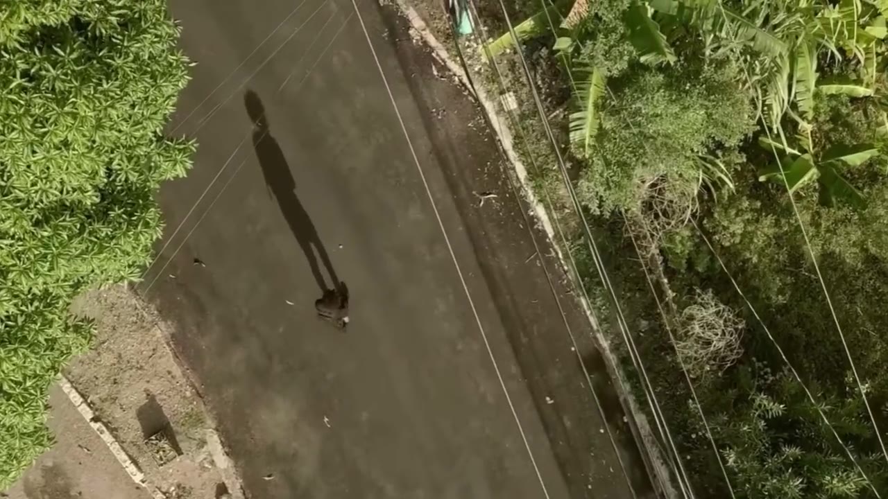 450,Mavado - Bines A Fly (Music Video)