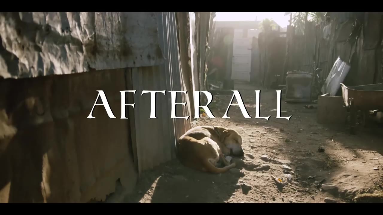 Alkaline - After All