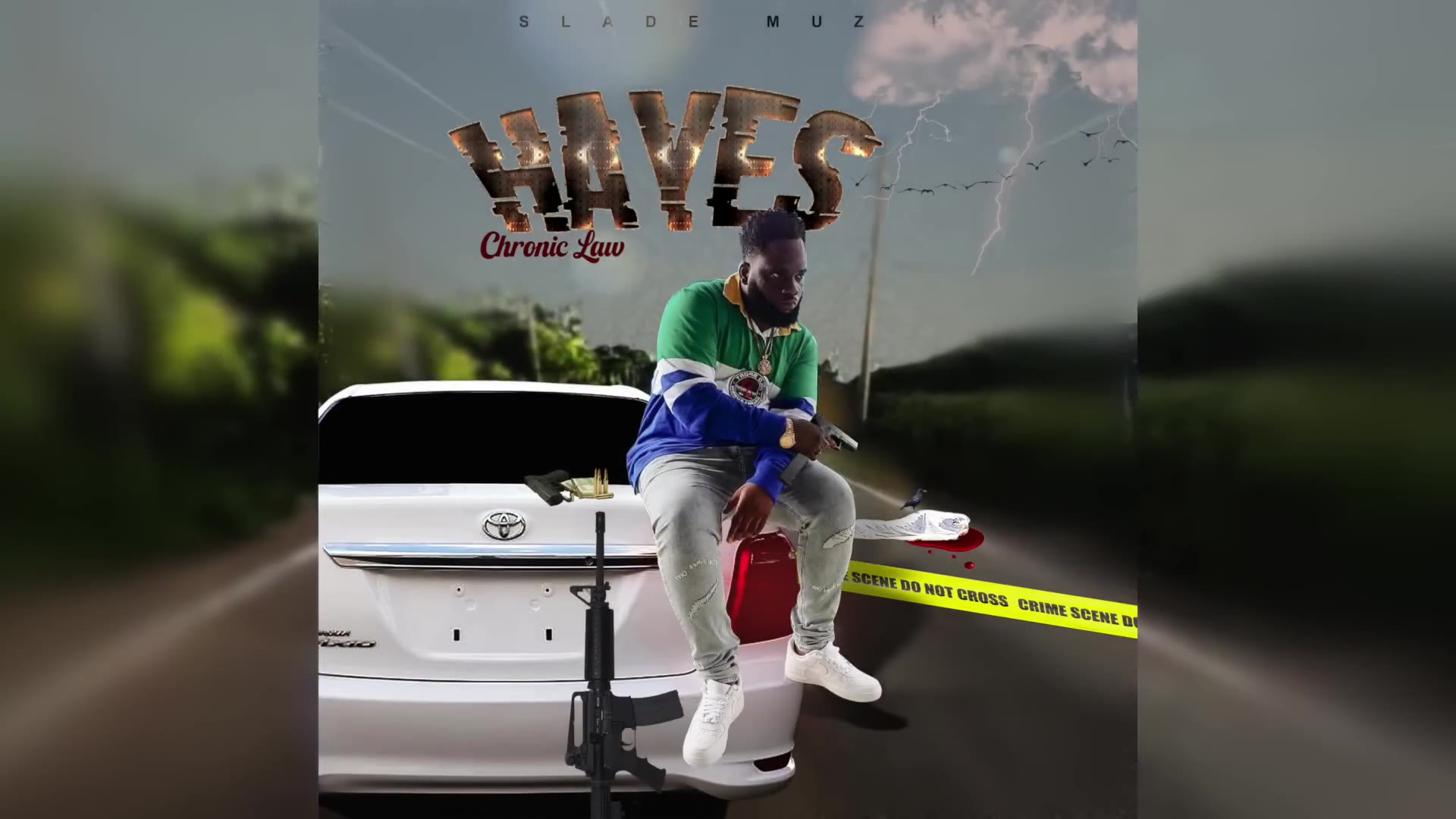 Chronic Law - Hayes (Audio Visual)