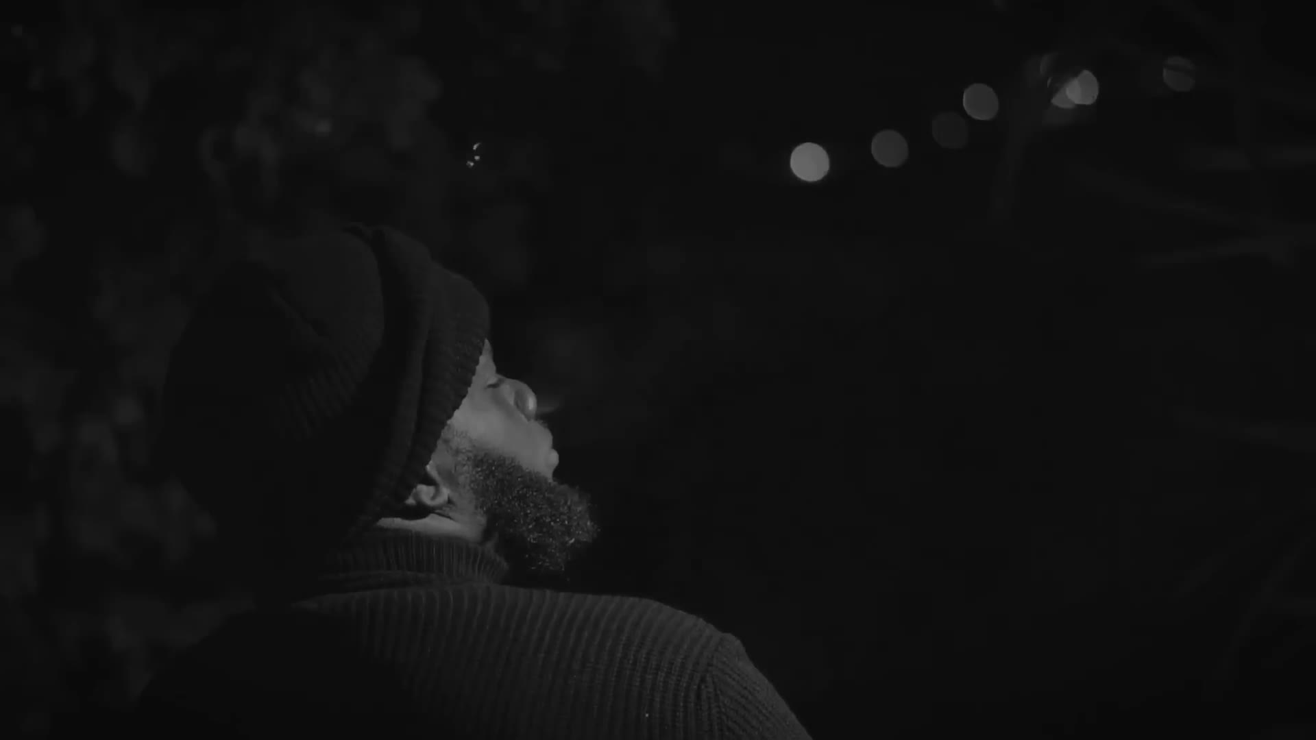 Chronic Law - Paranoid - Official Visualizer