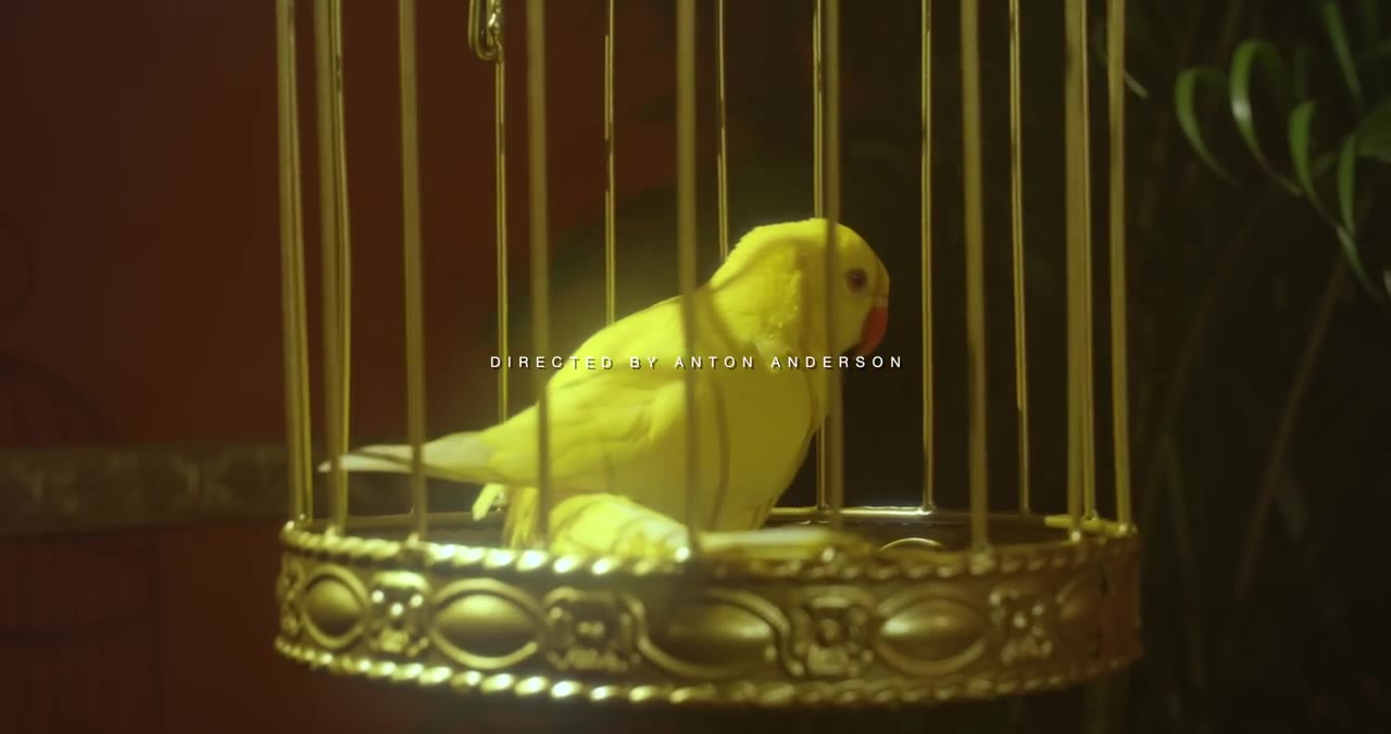 Jada Kingdom - Dickmatized (Official Music Video)