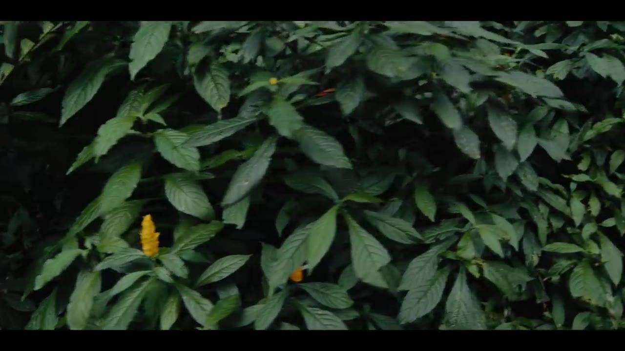 Kraff - RISK - (Official Music Video)