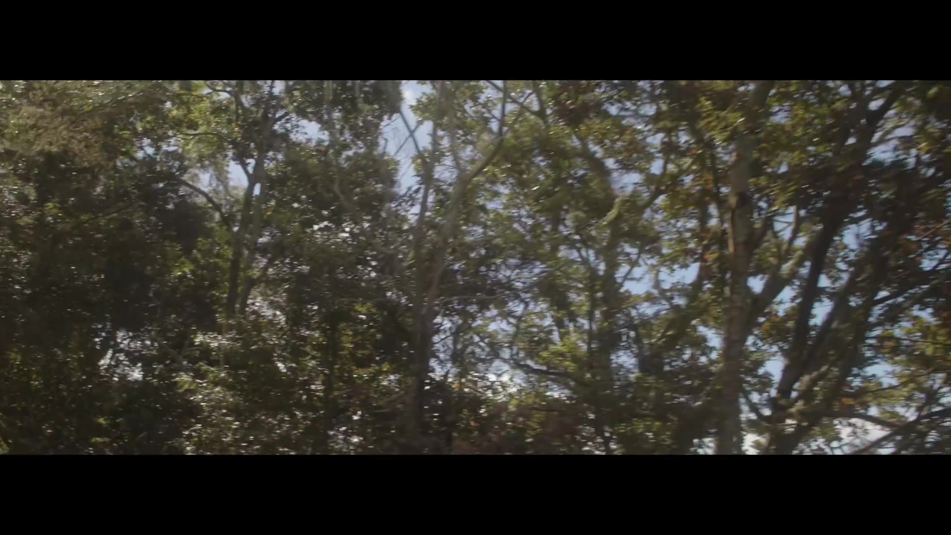 Masicka - History (Official Video)