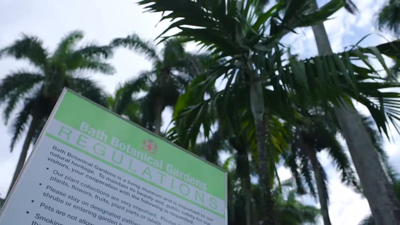 Popcaan - St Thomas Native ft Chronic Law (Official Video)
