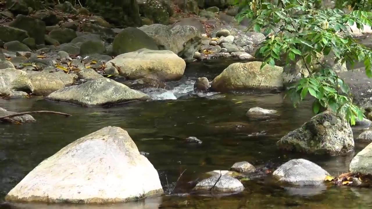 Popcaan - Words of Wisdom (Part II) [Abundant Life]