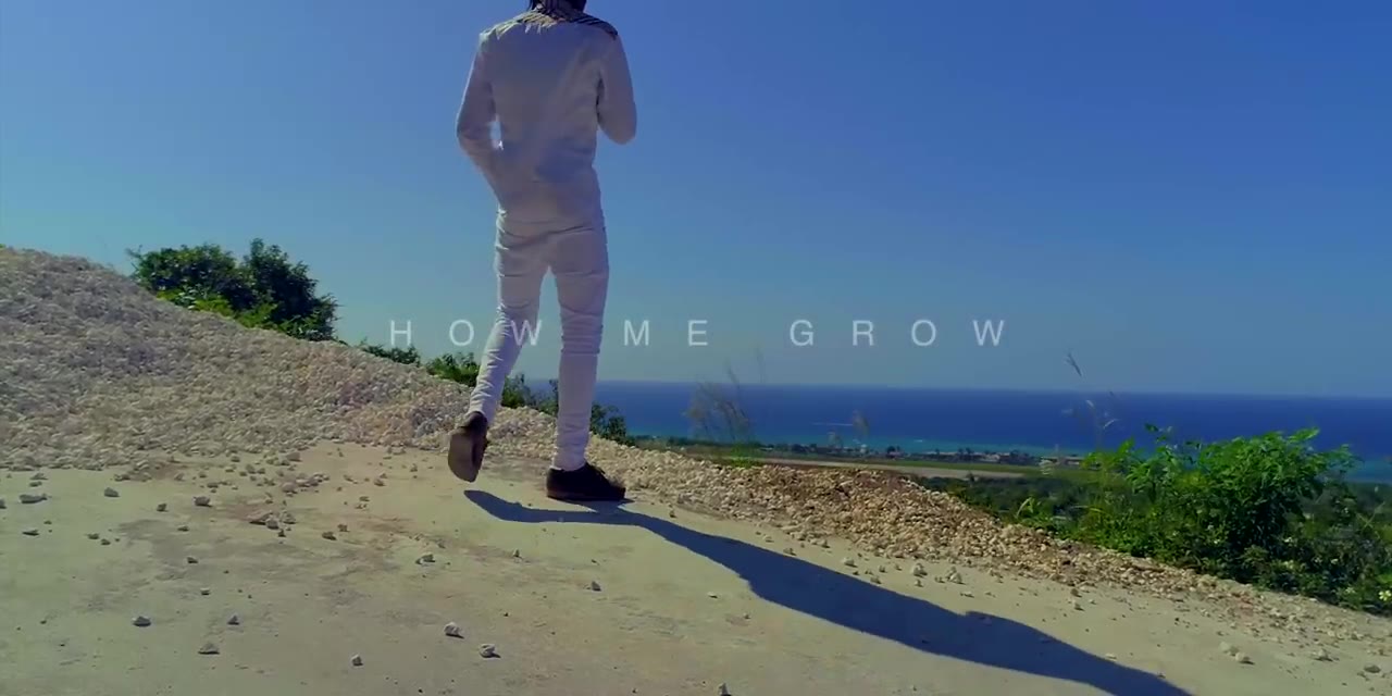Rygin King - How Me Grow