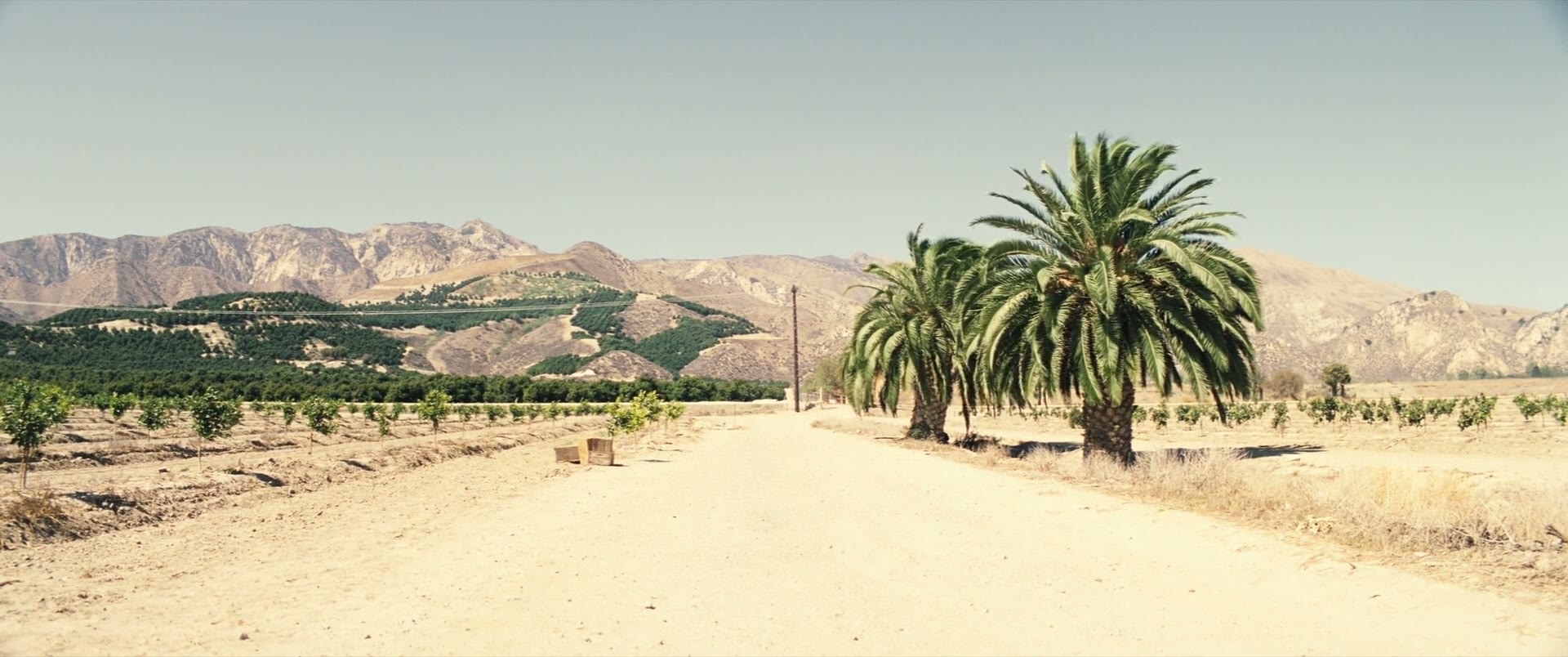 Babylon (2022)