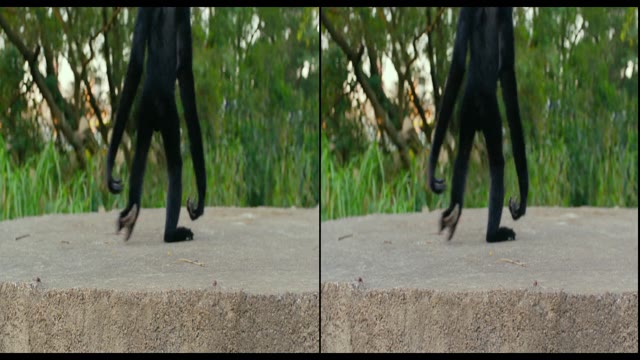 Life Of Pi 2012 3D 1080p Bluray HSBS x264 YIFY