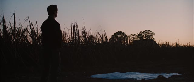 Looper 2012 1080p BluRay x264 YIFY